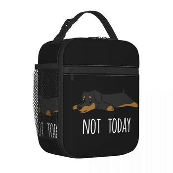 Забавные не сегодня утепленные сумки для ланча с собакой таксой, термосумка 
Контейнер для еды, герметичный ланч-бокс, сумка для бенто, пляжная сумка для путешествий